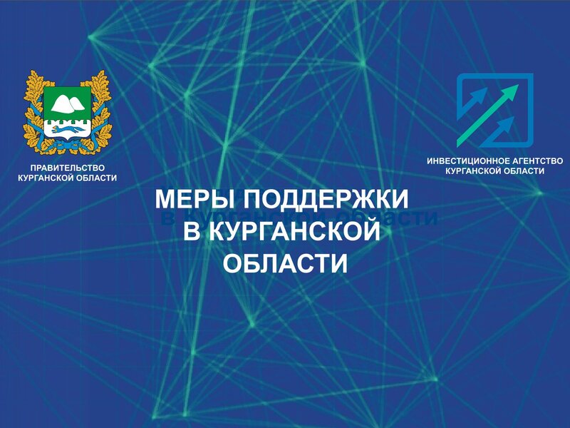 Региональные меры поддержки Курганской области.