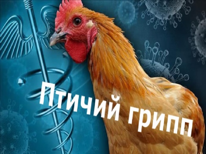 Внимание населению и предприятиям  Курганской области!.