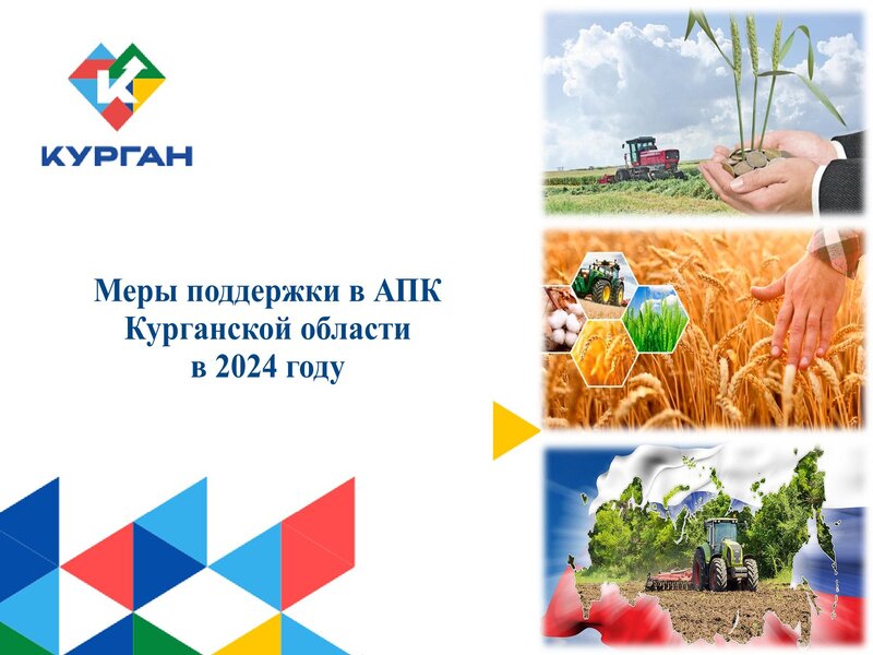 Меры поддержки в АПК Курганской области в 2024 году.
