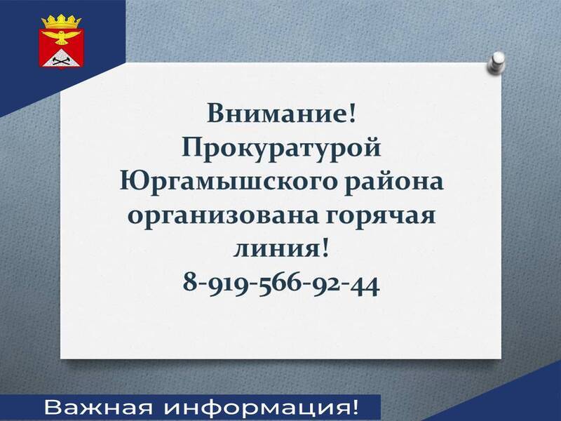 Горячая линия!.