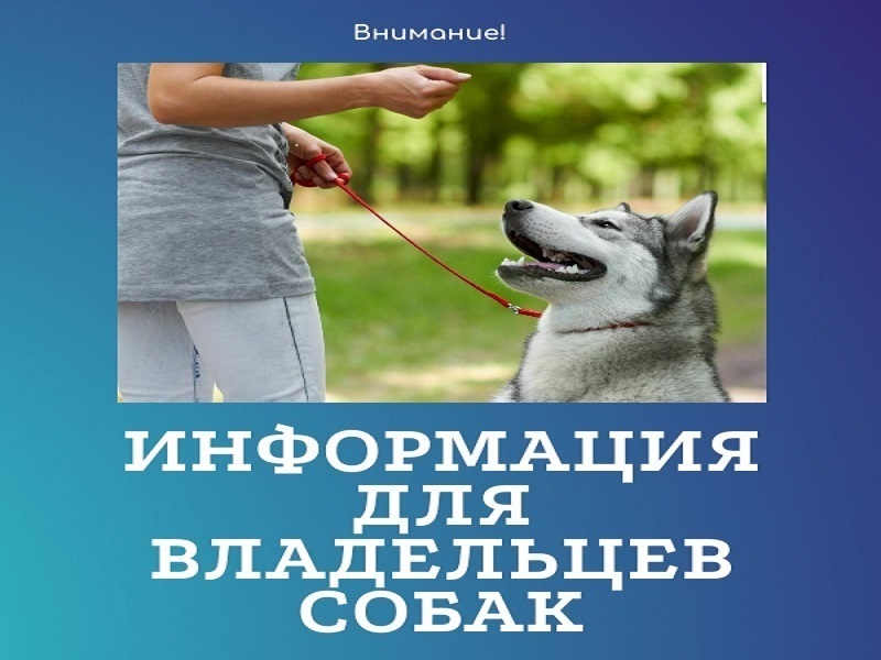 Вниманию владельцев собак!.