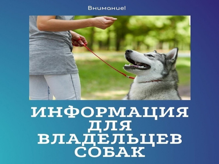 Вниманию владельцев собак!. Вниманию владельцев собак!.