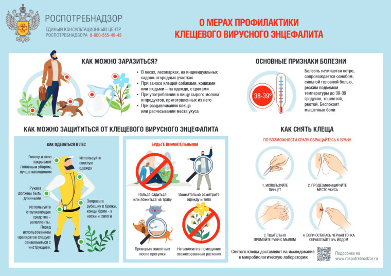 Горячая линия по профилактике клещевого энцефалита работает с 30 апреля по 13 мая. Горячая линия по профилактике клещевого энцефалита работает с 30 апреля по 13 мая.